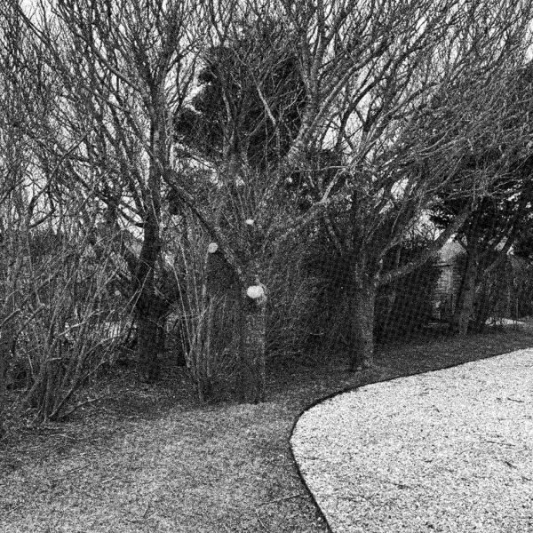 Home 49 Nantucket Homeowner Accused of Chopping Down Neighbor’s Trees Sells Property for $2.1 Million Below Asking