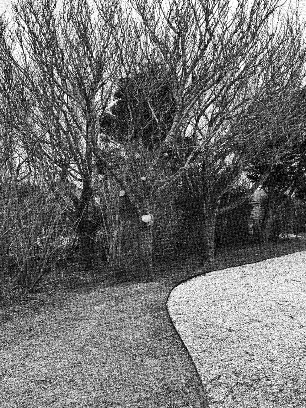 Home 53 Nantucket Homeowner Accused of Chopping Down Neighbor’s Trees Sells Property for $2.1 Million Below Asking