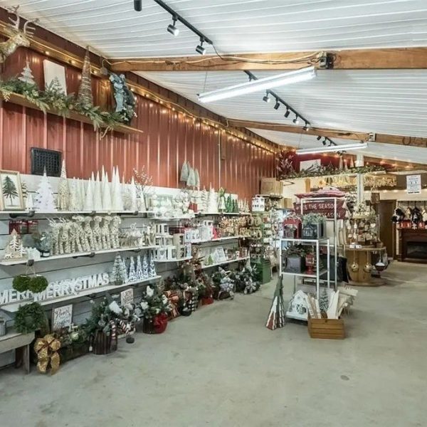 ‘Iconic’ Christmas Tree Farm in Aptly Named Locale Hits the Market for $2.2 Million (but Festive Inventory Will Cost You Extra)